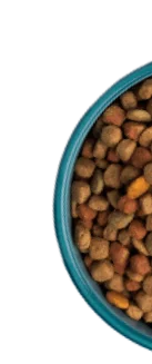 Dog Food